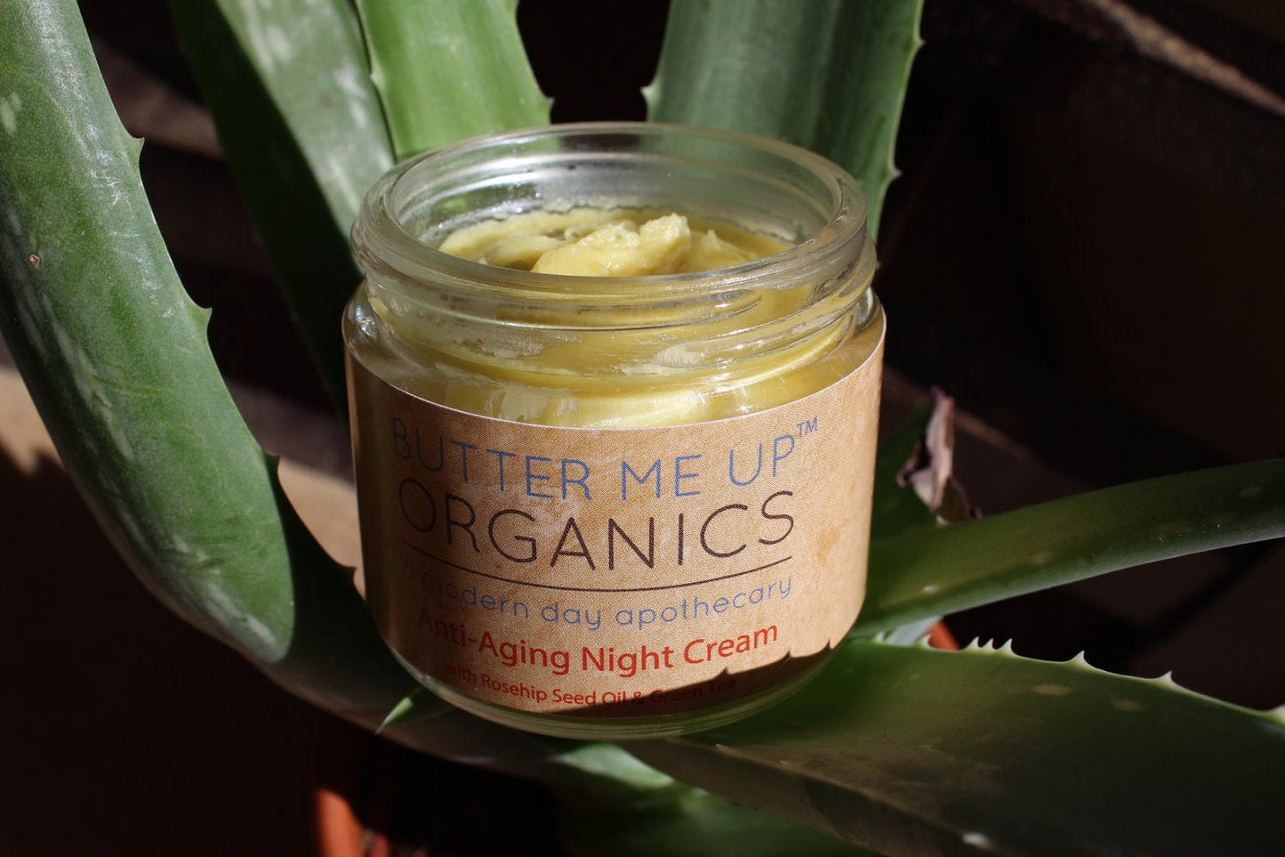Anti Aging Night Cream Face Moisturizer Organic Green Tea - Glam Gurls