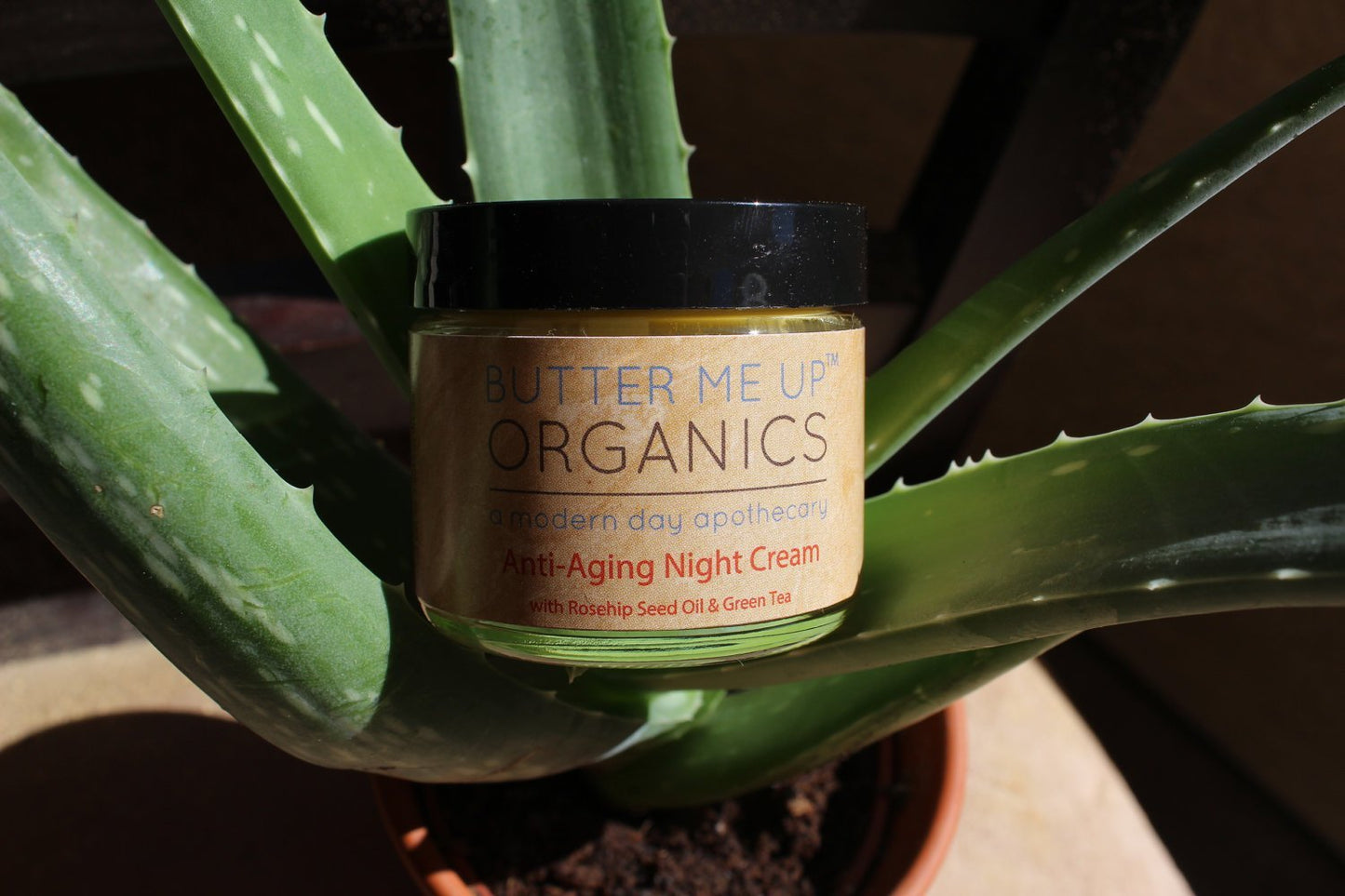 Anti Aging Night Cream Face Moisturizer Organic Green Tea - Glam Gurls