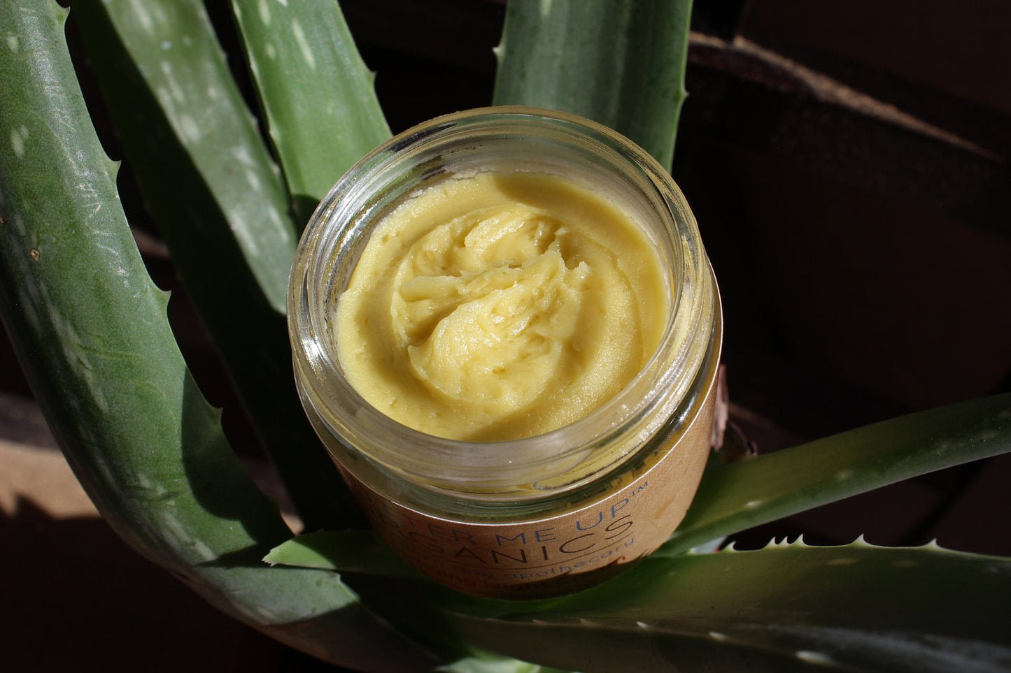 Anti Aging Night Cream Face Moisturizer Organic Green Tea - Glam Gurls