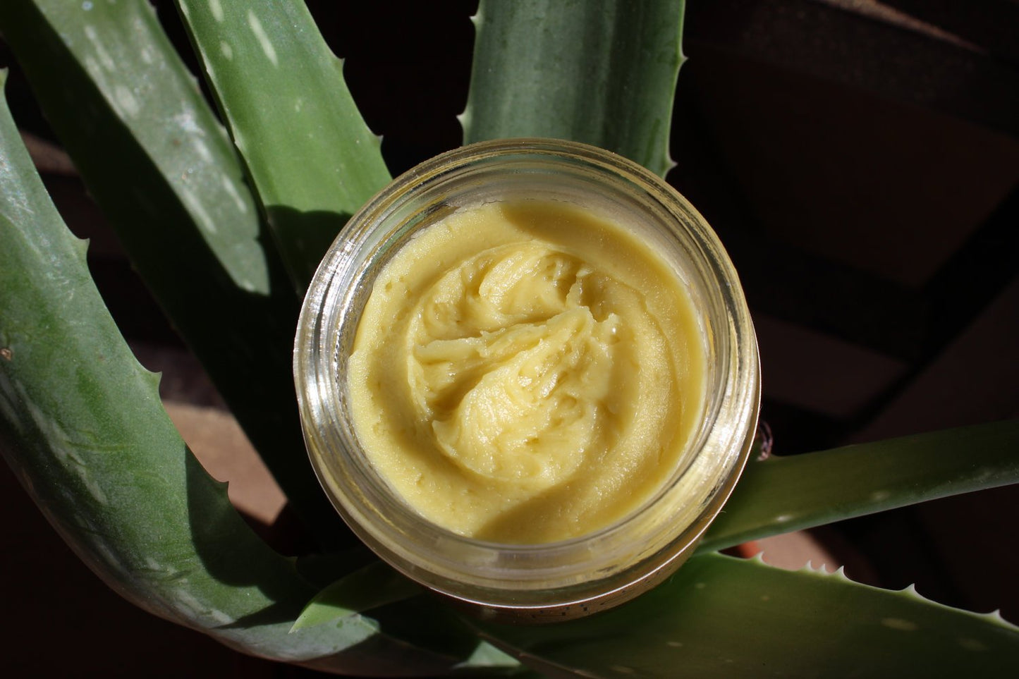 Anti Aging Night Cream Face Moisturizer Organic Green Tea - Glam Gurls