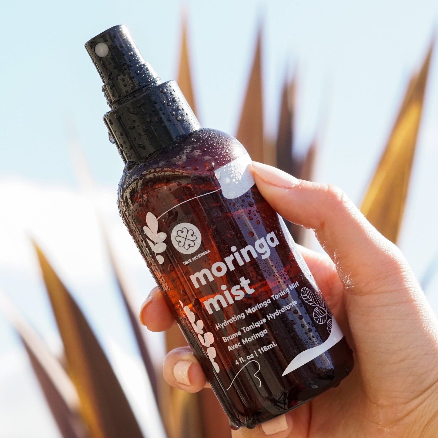 A hand holding True Moringa's Moringa Mist Hydrating Toner outdoors, highlighting its refreshing mist in a natural setting with vibrant foliage.