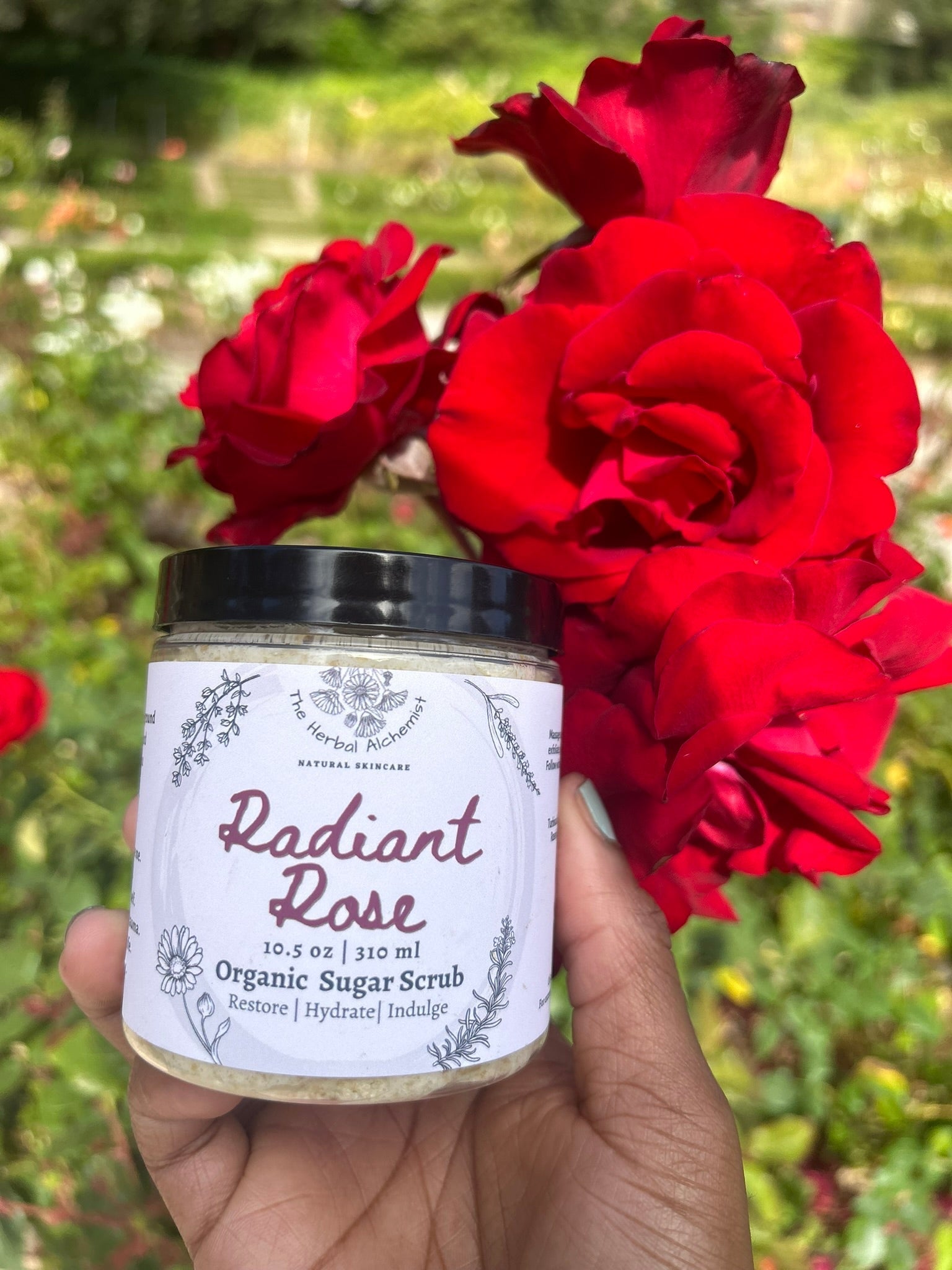 Radiant Rose Organic Sugar Scrub - Glam Gurls